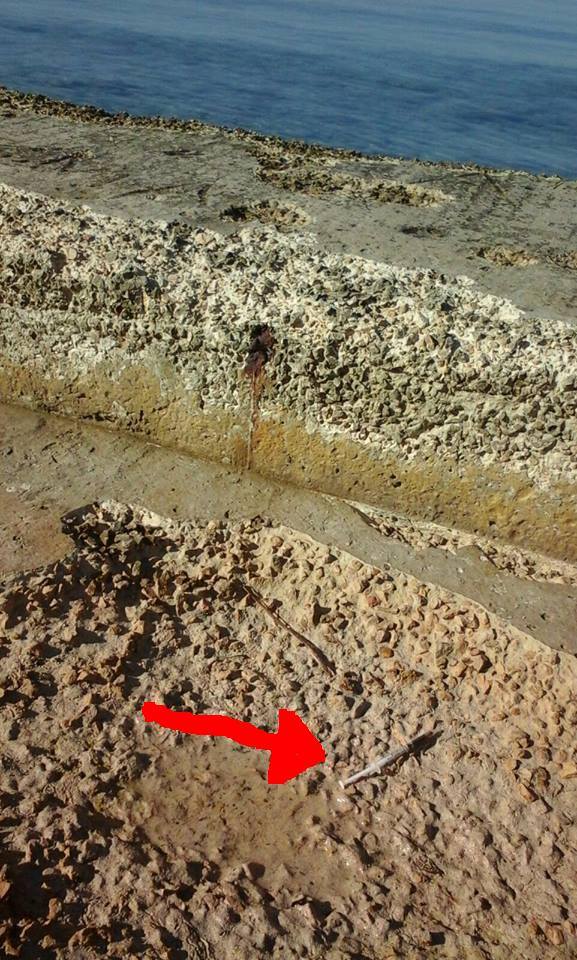 Junkie Spritze am Ballermann